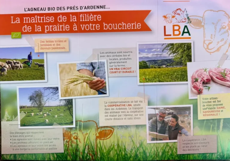 00000025-PHOTO-2025-01-08-15-48-14