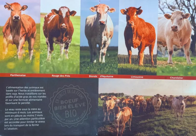 00000026-PHOTO-2025-01-08-15-48-14